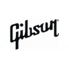 Gibson