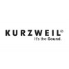 Kurzweil